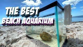 Setting Up The BEST AQUARIUM on The BEACH - A1A Adventures