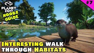 Walk Through Habitats & Multi-Level Guest Building Design! | Planet Zoo Beginner's Guide 2023