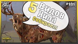 СОБИРАЕМ 5 ВИДОВ ХИЛА! НОВИЧОК ДОБЫВАЕМ ЕДУ! СЕРИЯ 181! - Last Day on Earth: Survival