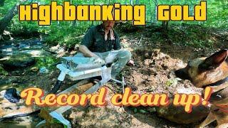 Highbanking Ga Gold ! Record clean up! #goldprospecting #fluidbedsluice  #Highbanker