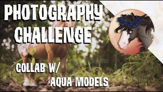 MODEL HORSE PHOTOGRAPHY CHALLENGE!!! COLLAB W/ AQUA MODELS