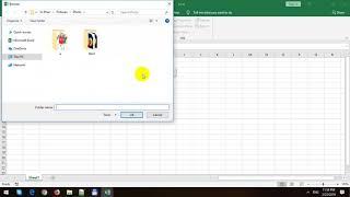 Get List of Files in Folder using File Dialog Box in Excel VBA