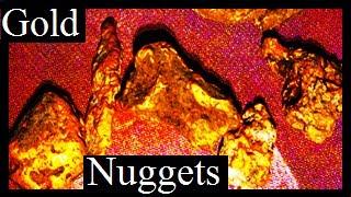 ELECTRONIC GOLD PROSPECTING SHORT MOVIE (Five Gold nuggets found: Subscribe to see more)