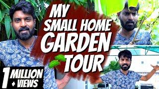 My Small Home Garden Tour 🪴  | Plants Collection | Mr. Makapa