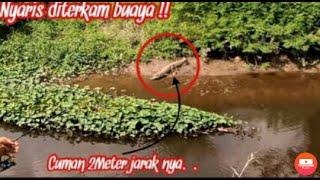 Woww!!!  Casting ikan gabus Malah ketemu buaya besar 