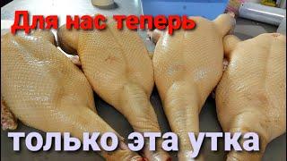 Теперь только эта утка! Утка СК-6, Гуси Линда, Ред Бро и индюки Хайбрид Конвертер