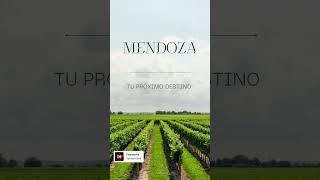 Siempre se vuelve | It always comes back #tendencias2024 #visitargentina #mendoza #now #book #trip