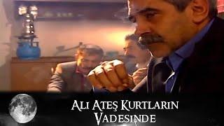 Ali Ateş - Kurtların Vadisinde