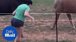 Woman pees pants after touching electric fence