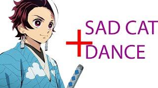 SAD CAT DANCE + TANJIRO KAMADO = ??? Demon Slayer Season 3 SAD CAT DANCE INOSUKE HASHIBIRA