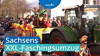 Sachsens größter Faschingsumzug: "RaBuMania - Karneval der Extreme" in Radeburg | MDR+