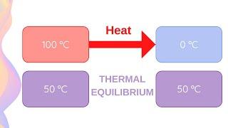 Thermal Equilibrium // HSC Physics