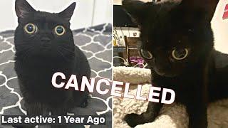 The Cat that was Cancelled by Twitter