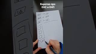 Как платить налоги по-новому, ЕНС, ЕНП