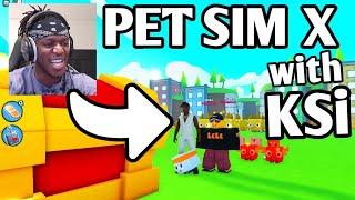 PLAYING with KSI in Pet Simulator X (ROBLOX)