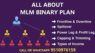 MLM Binary Plan ki puri Jankari | MLM Binary Business Plan Details | YAKS Group | Binary Software