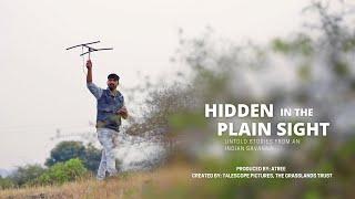 Hidden In Plain Sight - Director's Cut