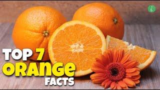 Top 7 Facts About Oranges That Will Surprise You | Orange Facts | Info Hifi