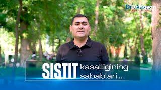 Sistit kasalligining sabablari… | Doctor Hasan Medical Center