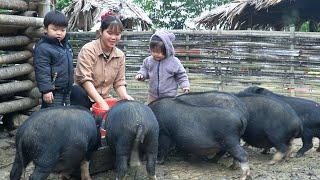 Picking sweet grapefruit to sell, picking up 2 children from school, Xuan's daily life