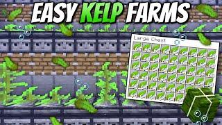 Automatic Dried Kelp Farms - Minecraft 1.21+ Tutorial