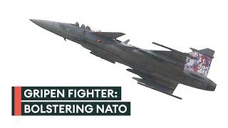 Saab Gripen: The easy-to-fly fighter jet that could be on its way to Ukraine