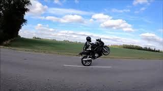 Suzuki SV 1000 wheelie training