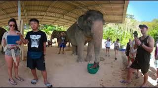 Elephant Santuary Thailand Phuket Part 3 Michael and Marlina Travel Log3