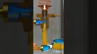 Expansion Valve inside working Diagram And Cooling principal||Thermostatic Expansion Valve #hvac