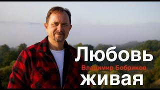 Клип "Любовь Живая" -  Vladimir Bobrikov - "Семейный микрофон"  13.09.2020