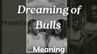 Dreaming of Bulls | Biblical Dream Interpretation