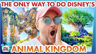 I Go To Disney World Every Day And This Is The ONLY Way I'll Do Animal Kingdom