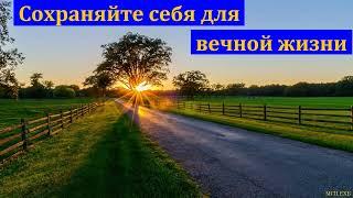 "Сохраняйте себя для вечной жизни". В. Тарасов. МСЦ ЕХБ.