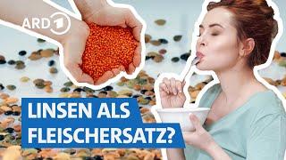 Linsen: Geniale Rezepte mit den gesunden Hülsenfrüchten | Marktcheck SWR