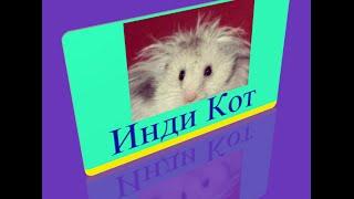 76 уровень   Инди кот