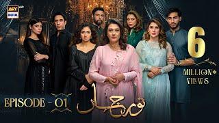Noor Jahan Episode 1 | 25 May 2024 (English Subtitles) | ARY Digital Drama