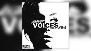(20+ Royalty-Free) Lil Baby Loop Kit "Voices Vol. 2" (Lil Baby, Lil Durk, Vocals, Etc.)