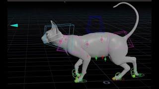 learning Houdini APEX rigging - Weird Gremlin Cat