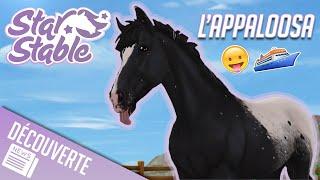 Achat de L'Appaloosa  | Star Stable - SSO