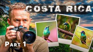 Finding Wildlife in Costa Rica part 1 - the Resplendent Quetzal