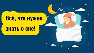 Фазы сна человека. Сколько нужно спать и как выспаться?