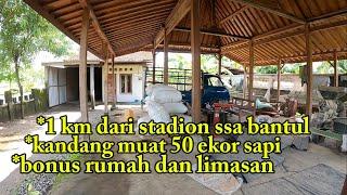 dijual kandang sapi bonus rumah dan limasan  1 km dari stadion SSA bantul