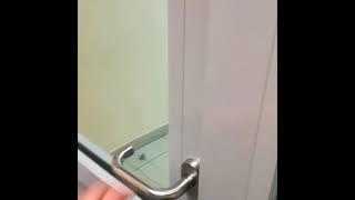 Door has a soul of a bird