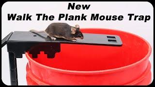 New Walk-The-Plank Mouse Trap Sold On Amazon