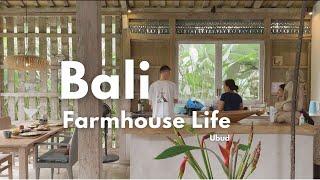 My Soul Healing Stay One Of A Kind Farmhouse in Ubud Bali | Getting Up Early, Cooking, Eating, Drone