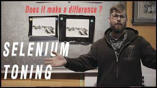 How to Gain Archival Properties for Your Silver Gelatin Prints - SELENIUM TONING