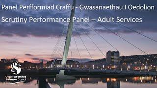 Swansea Council - Scrutiny Performance Panel: Adult Services  8 November 2022