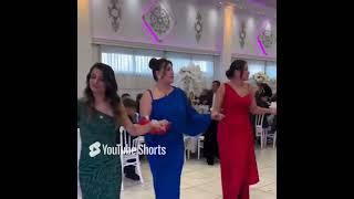 Top 5 Turkish Wedding Dance Videos - GORGEOUS BEAUTIES Colourful Outfits & Live Music