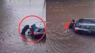 Dog helps his owner push car out of flood water.