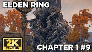 ELDEN RING PLAYTHROUGH - CHAPTER LIMGRAVE PART - 9 | 2K - NO COMMENTARY